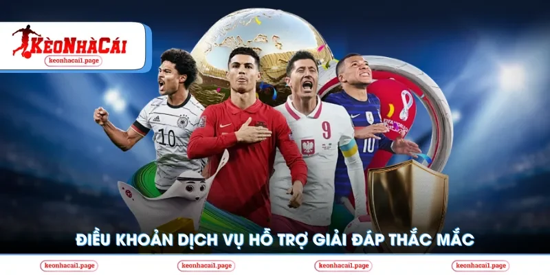 Điều khoản dịch vụ hỗ trợ giải đáp